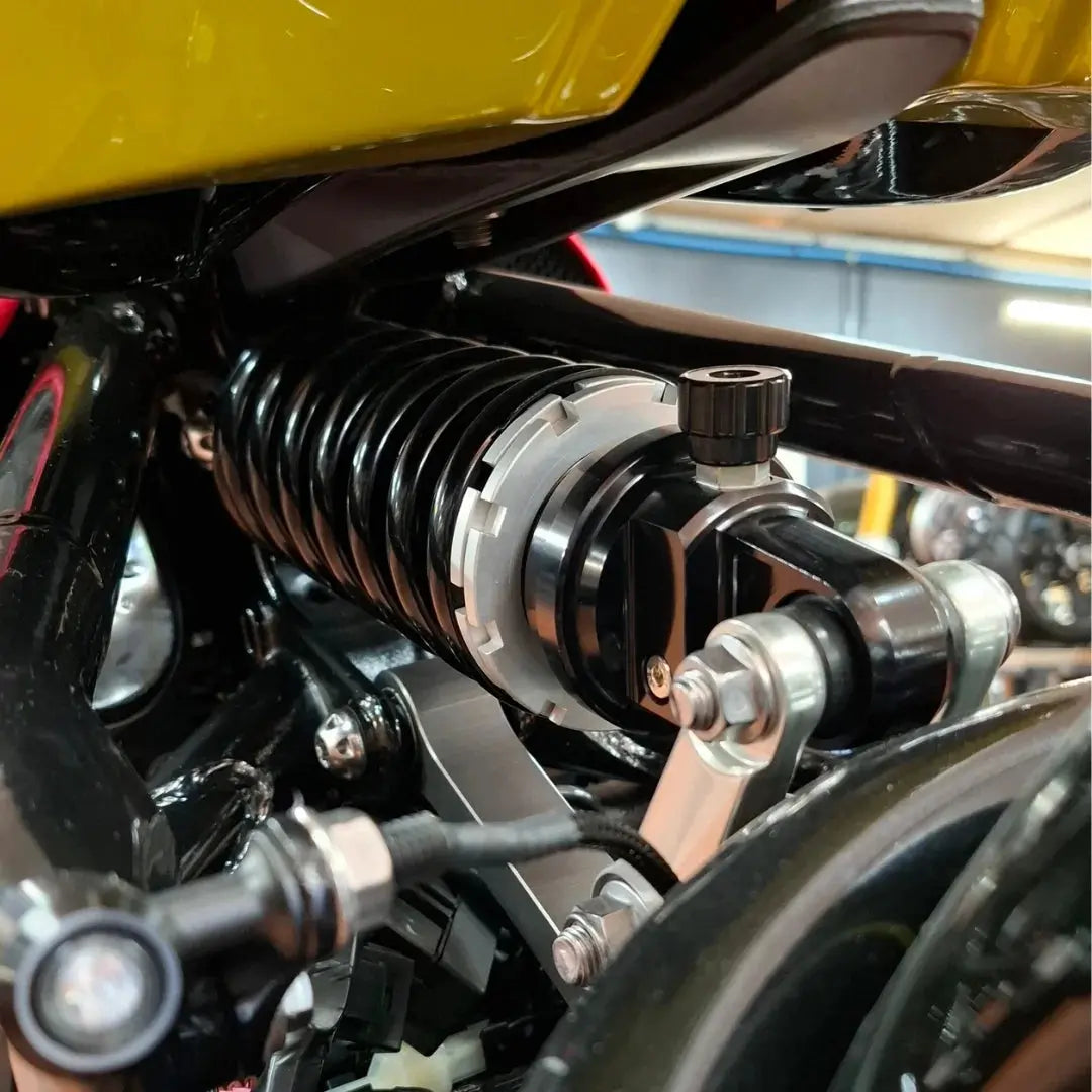 Photo de l'amortisseur Shock Factory installé sur une Triumph préparée par FCR Accessoires