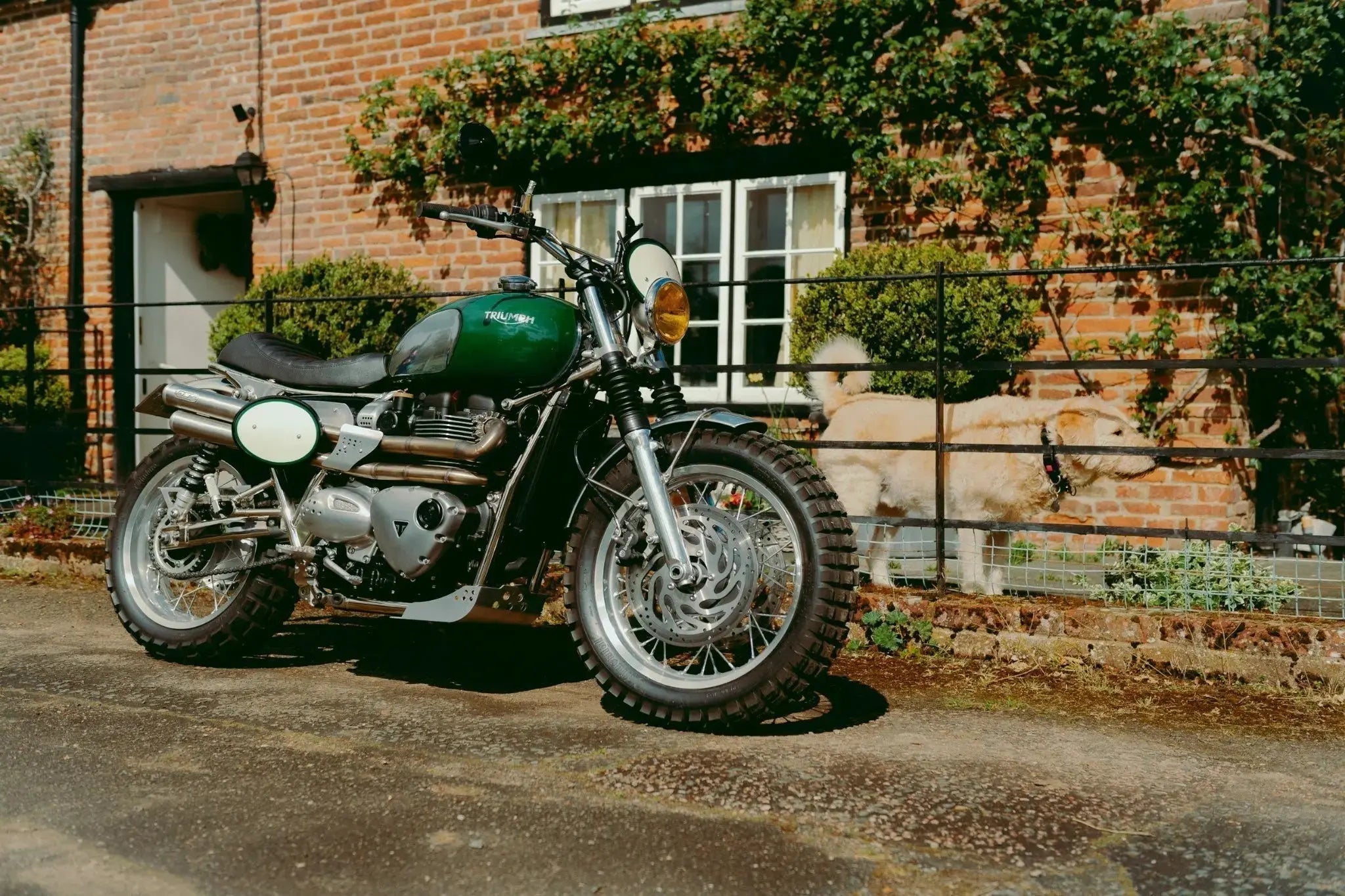 Les Accessoires moto Indispensables Triumph : Optimisez votre conduite avec élégance et performance grâce à FCR Accessoires - FCR Accessoires