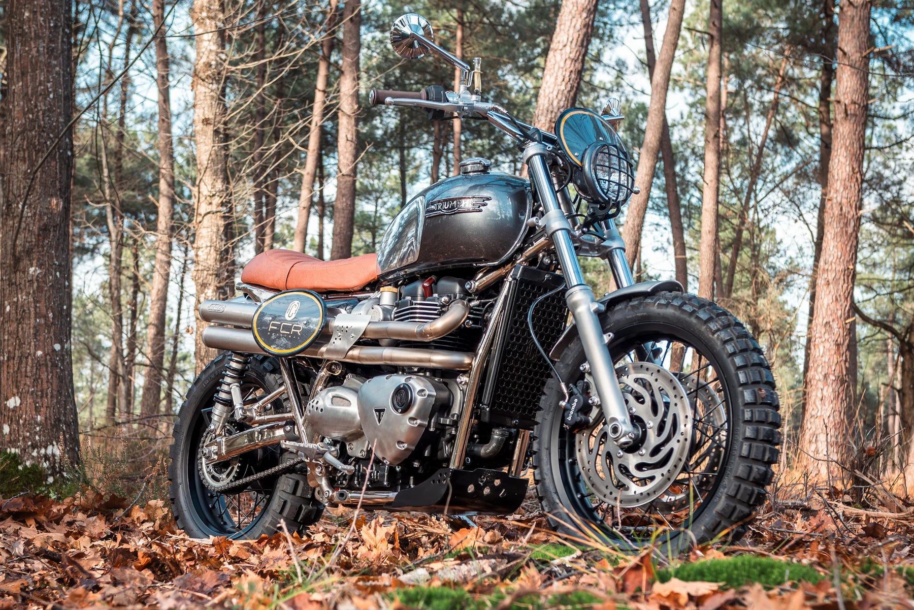 Sabot Moteur | Triumph Modern Classic v2 - photo 1