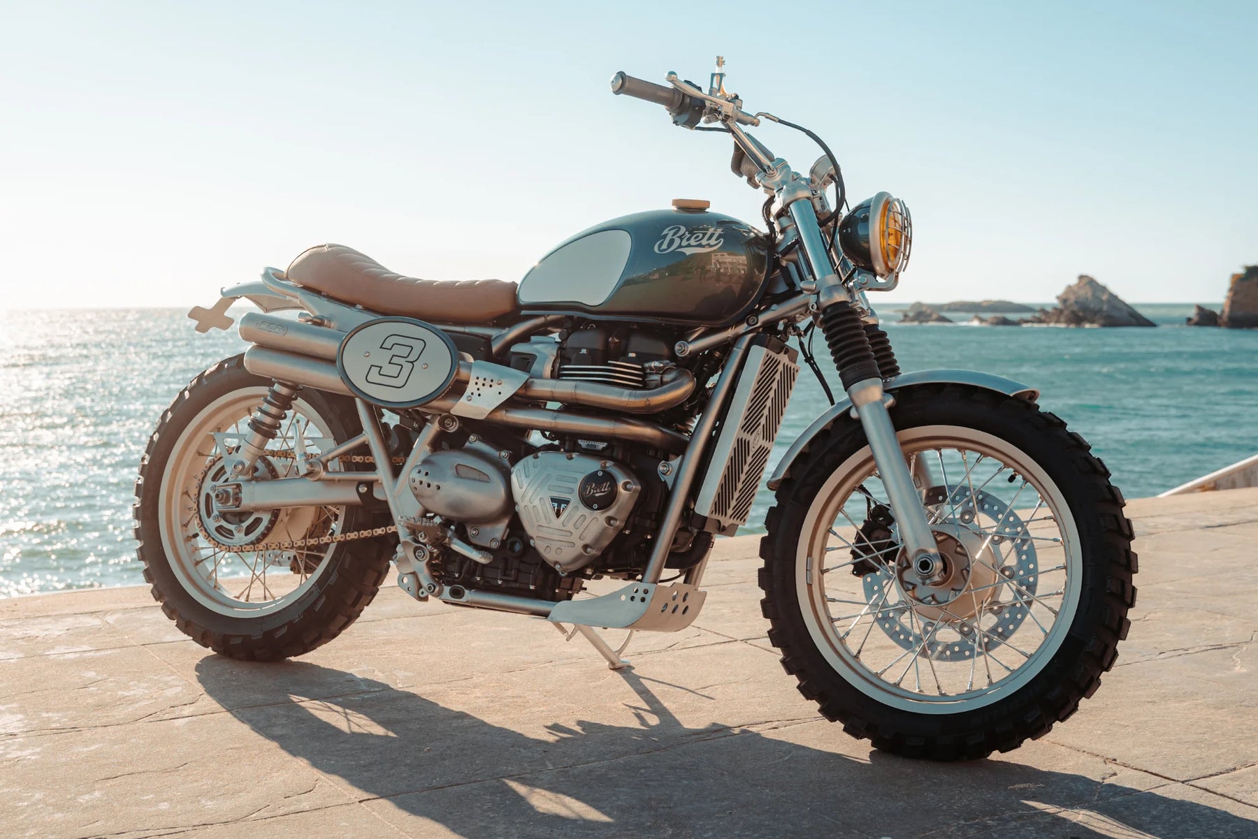 Sabot Moteur | Triumph Modern Classic v2 - photo 3