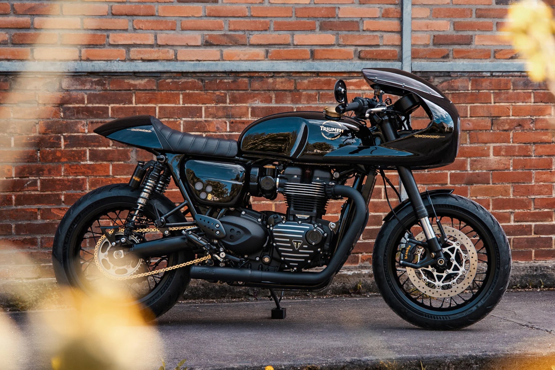 Kettenschutz | Triumph Thruxton & Speed Twin 1200 - photo 1 en situation