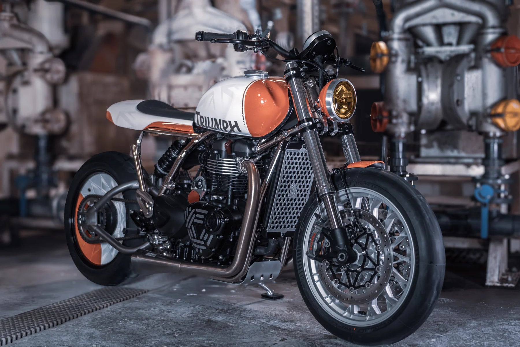 Sump Guard | Triumph Modern Classic - photo 3 en situation
