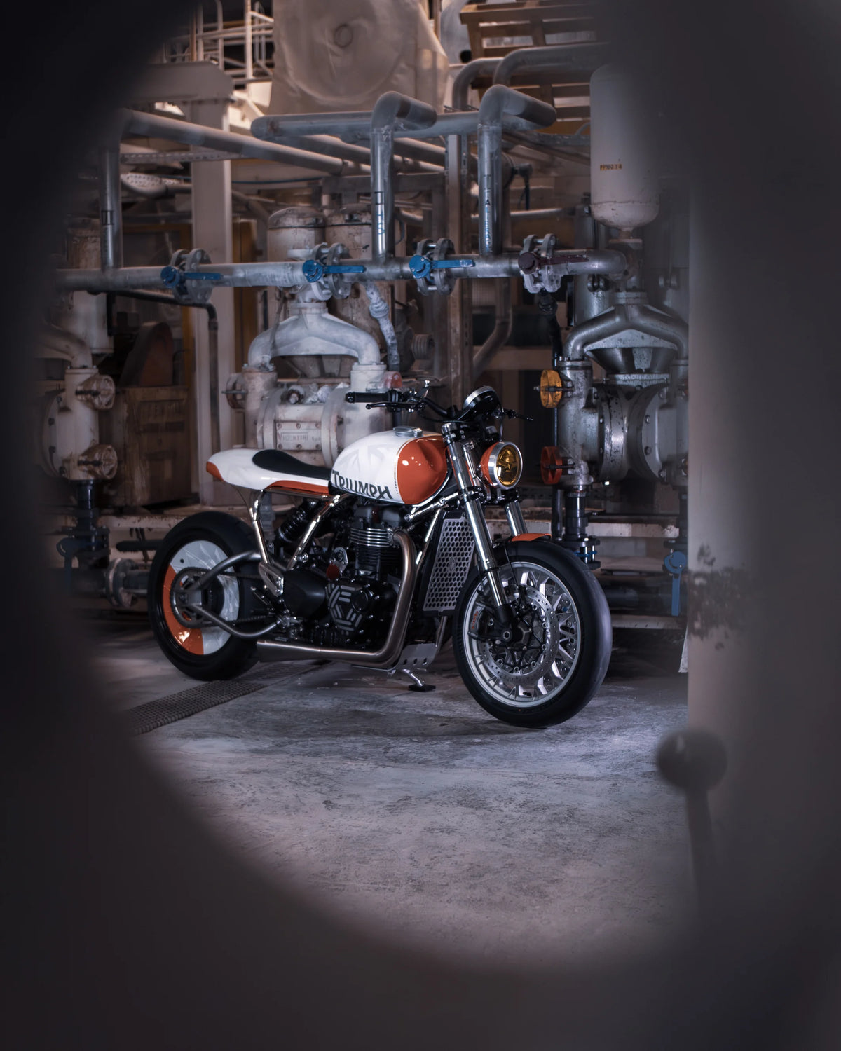 Hail to the Twin | Integralhelm FCR Original Limited Edition - Image détail 3