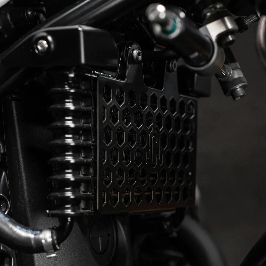 Grille de Radiateur | BMW R nineT 
