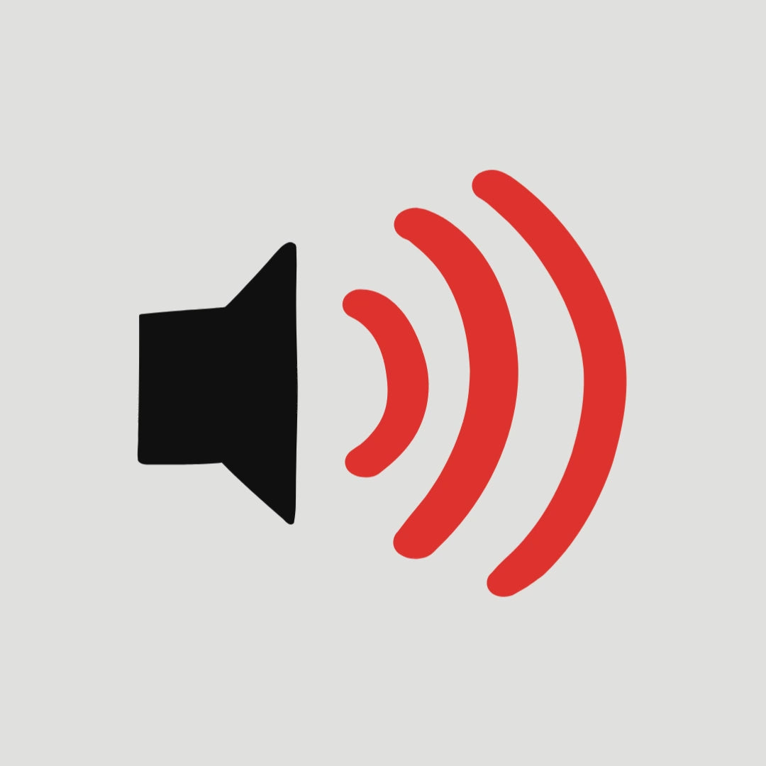 Son d'échappement du silencieux double pour Triumph 400 fabriqué par FCR Accessoires