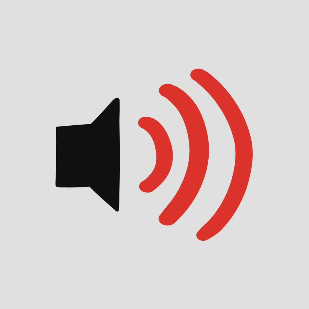 Sonorité Silencieux d’échappement double court Triumph Rocket 3